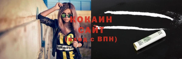 шишки Аксай