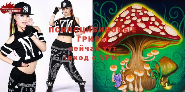 метадон Горнозаводск