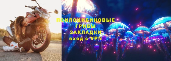 стафф Горняк