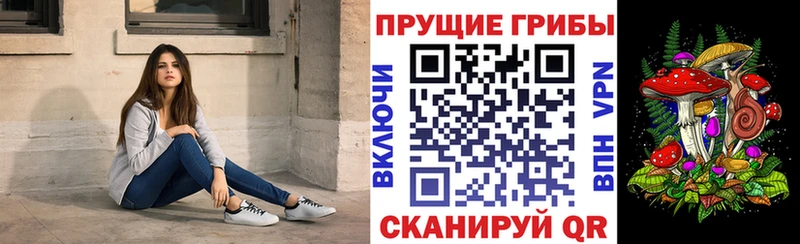 Псилоцибиновые грибы Psilocybe  Десногорск 