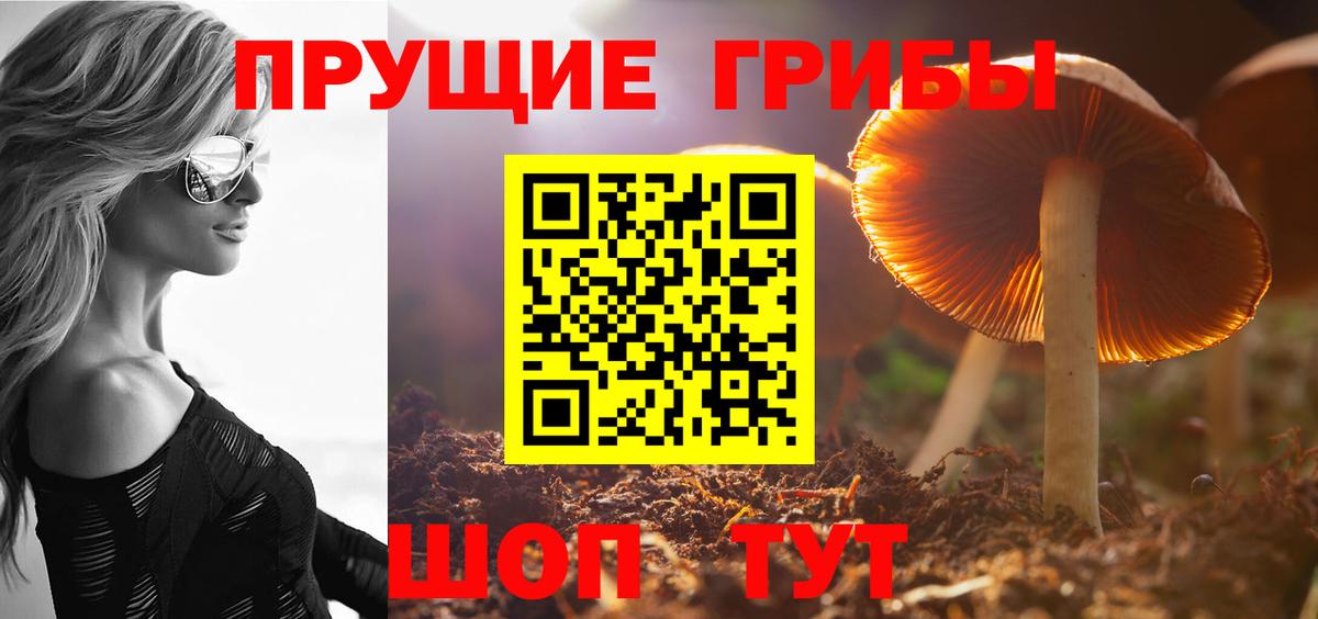 Галлюциногенные грибы GOLDEN TEACHER  Псилоцибиновые грибы MAGIC MUSHROOMS  Десногорск 