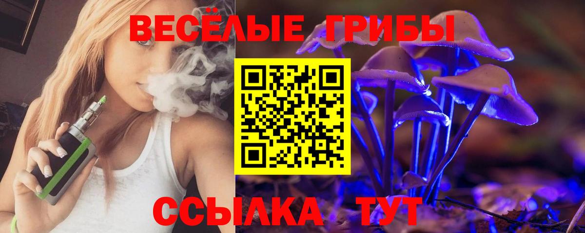 Галлюциногенные грибы GOLDEN TEACHER  сколько стоит  Десногорск  Вход с VPN 